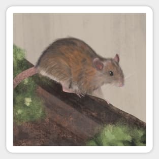 Wild Rat on Mossy Log Sticker